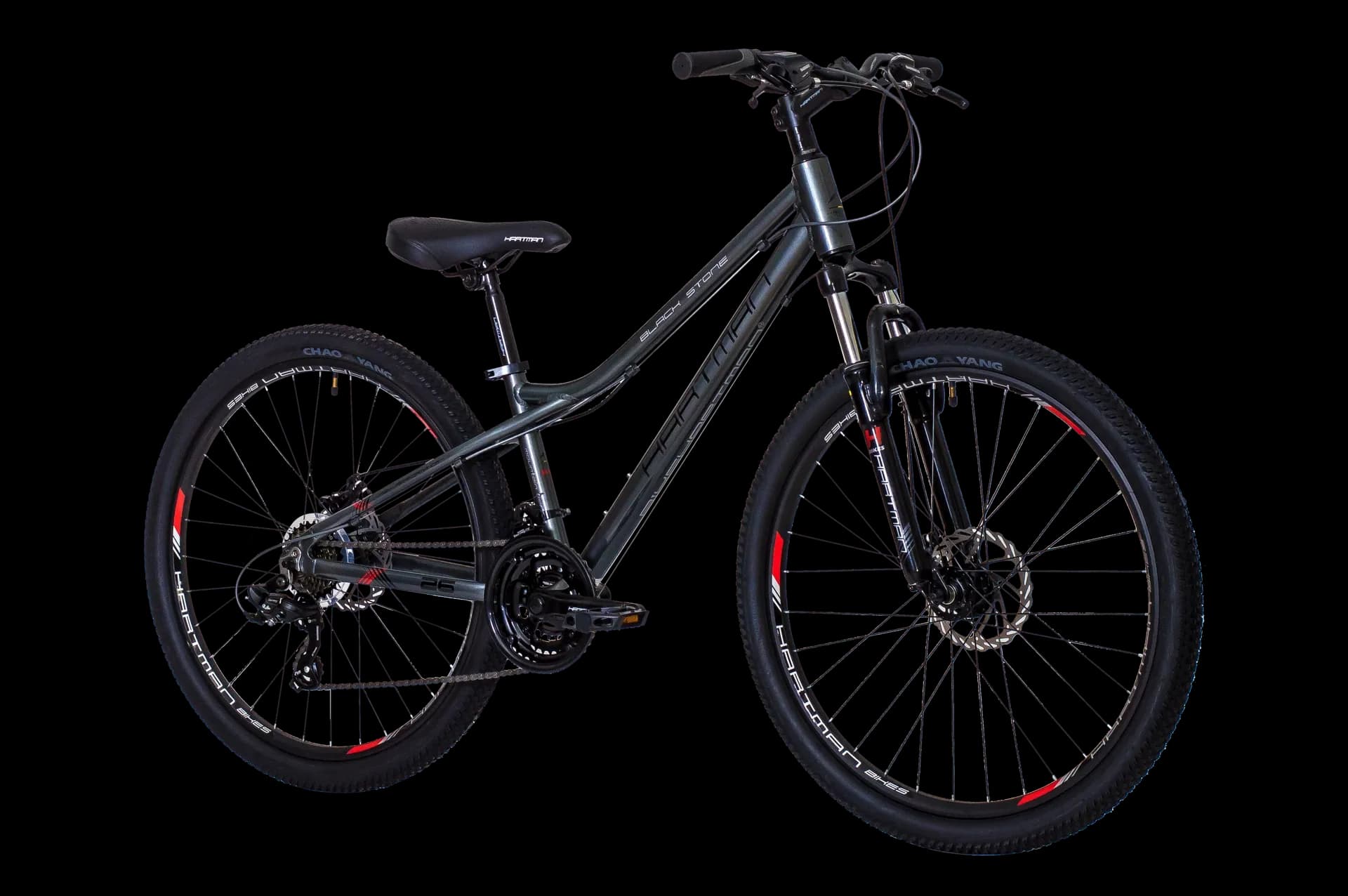 27.5" Black Stone HD - Серый - изображение 2